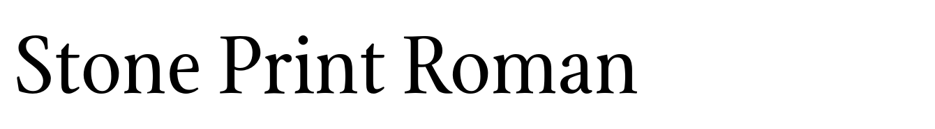 Stone Print Roman